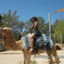 Priscilla Starr - @IsotropicStarr - Twitter