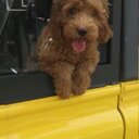 Andrew Niblock - @aeniblock - Twitter