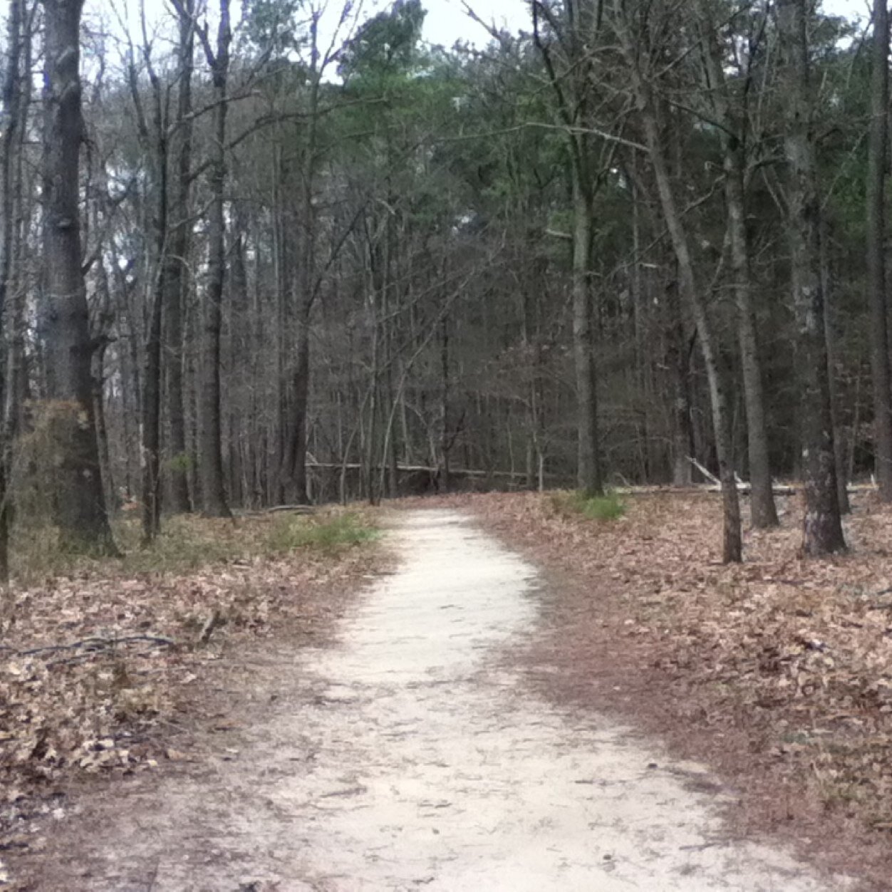 AiyaChahid's profile picture. My BFF's rule