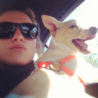 Coach Law (@coachelaw) 's Twitter Profile