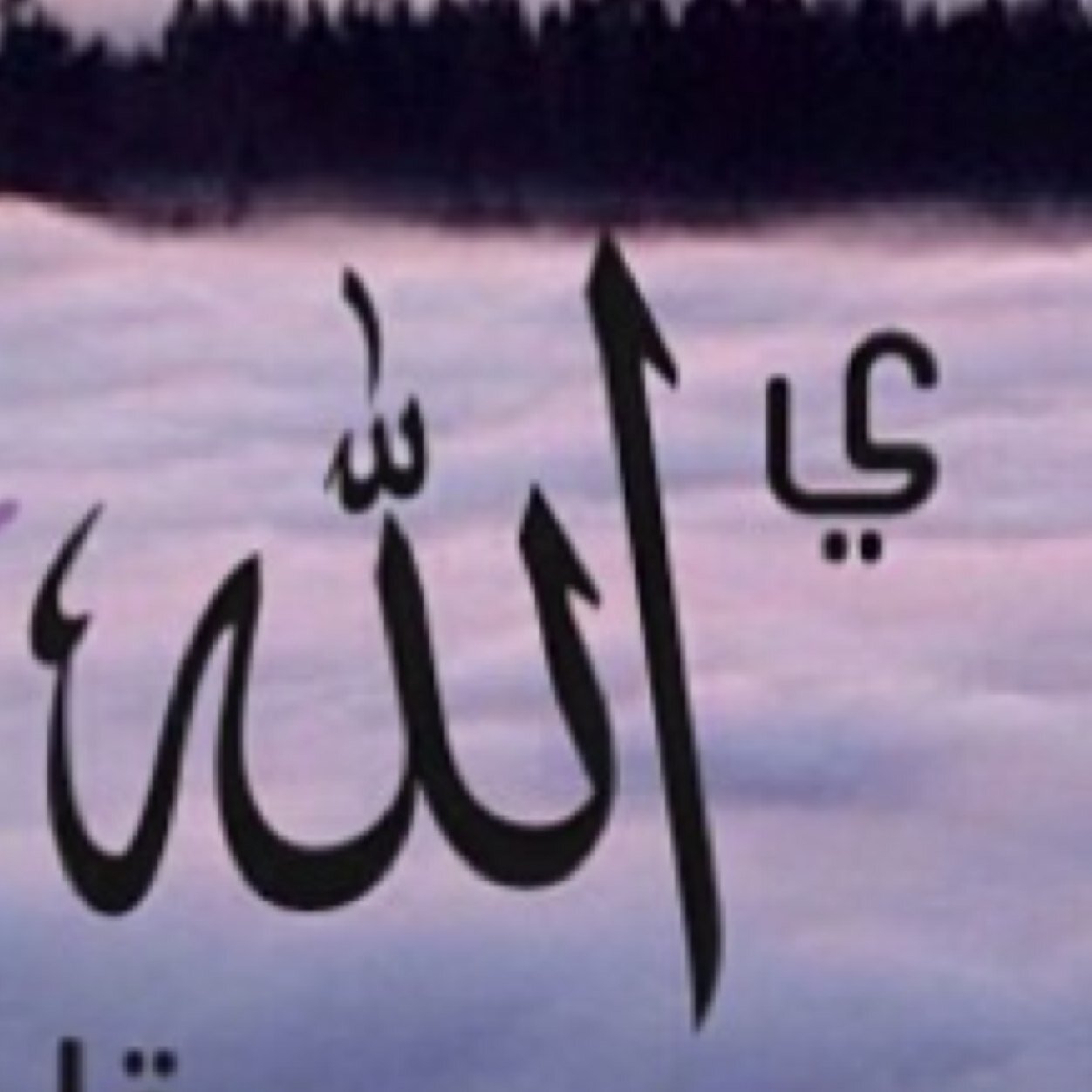 ربيّ اجعلني ممنّ نظَرت إليـہ فرَحمـتہ وممنّ دعآڳ *فاجبت