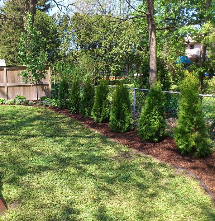 PaperbarkLndscp's profile picture. Small landscaping business run by two Horticultural Technicians. We do installations and design work.