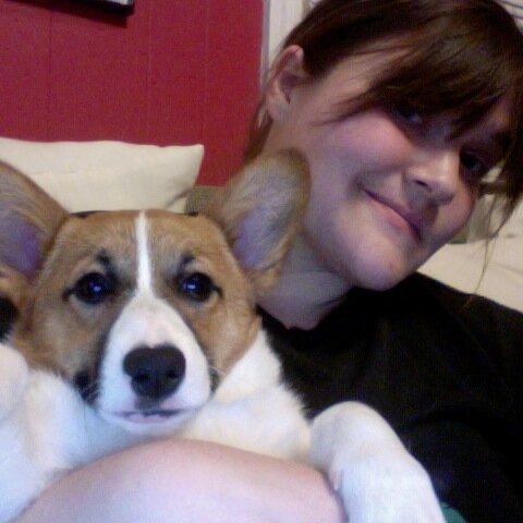 al223677's profile picture. 