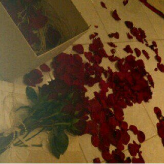 صدمة رحيلها ماطرت لي على بال .وفجعة فراقها  باقيه تكتسيني .طاحت ورودي وانتهت كل الآمال .وماتت رياحين الفرح في يميني