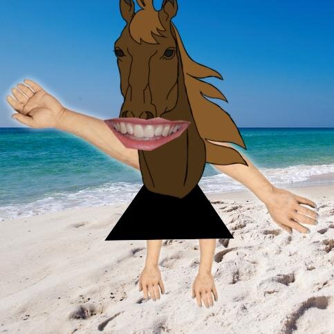 I used to be a pony.