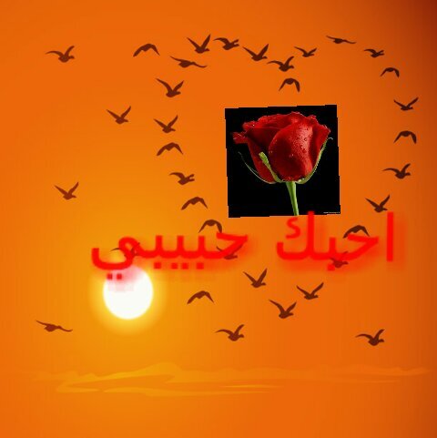 ‏‏‏ناشر