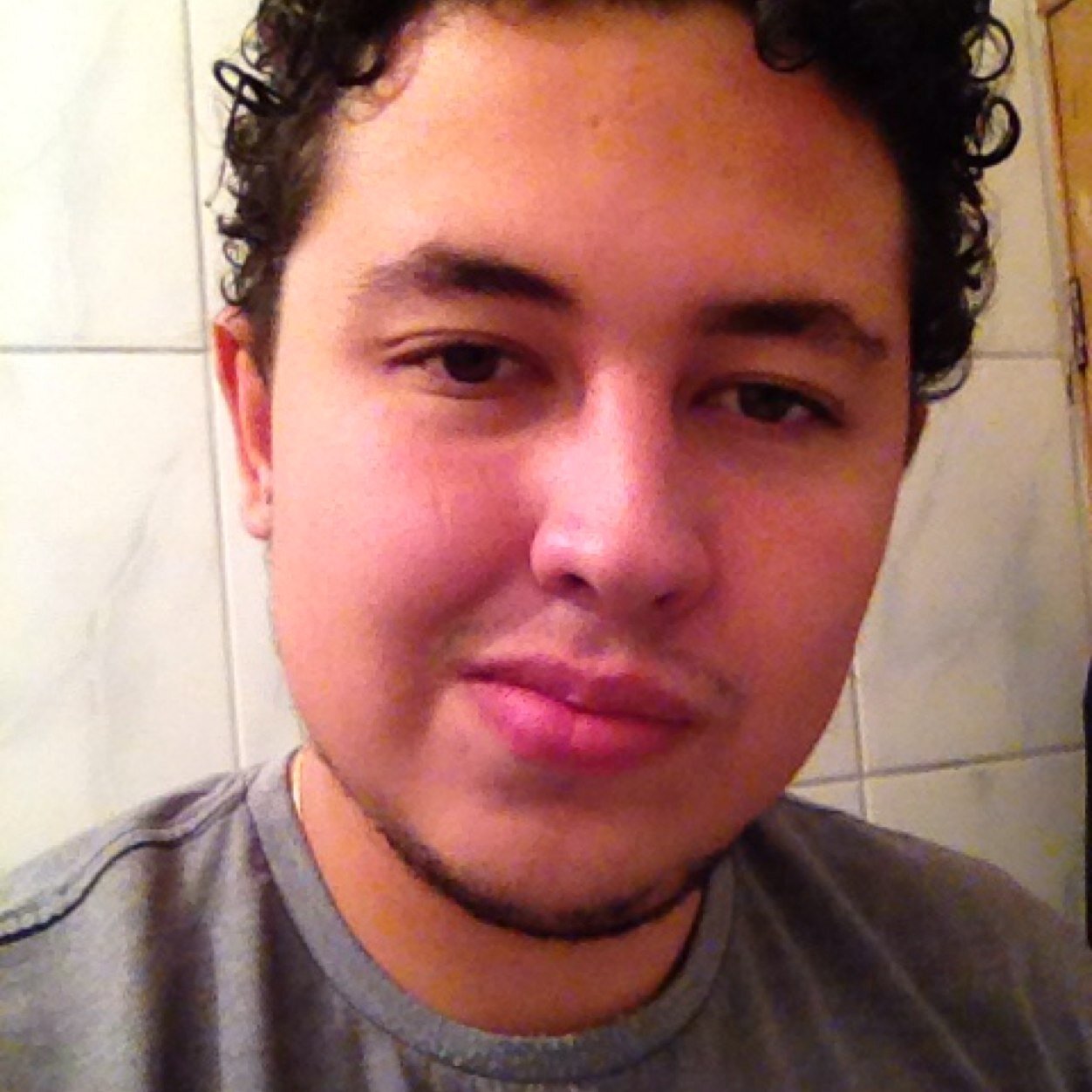 Graças a Deus eu sou Verdão
E ele está no coração
Ele ganhando, ele perdendo
Sou palmeirense de coração
E dalê Porco, Dalê Porco
Dalê Porco, Dalê Porco