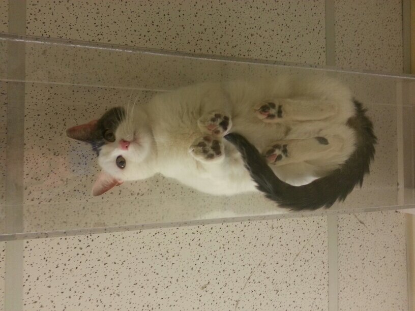 Idlingbother's profile picture. 