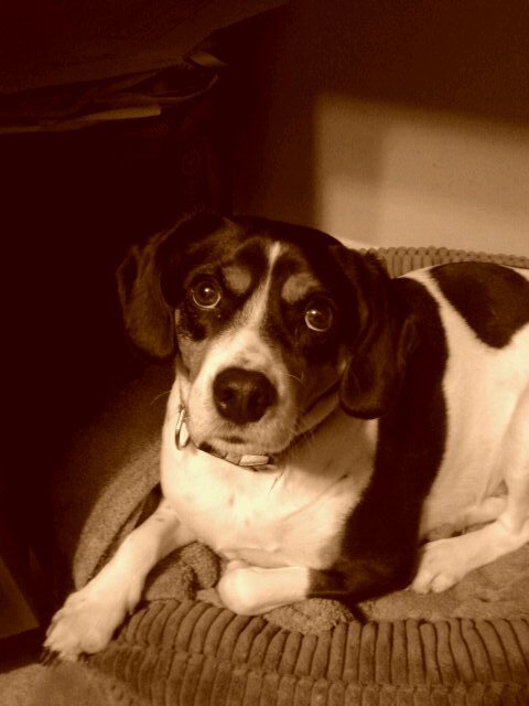 WinterGFraley's profile picture. I'm a author, photographer, and I have a passion for orphans