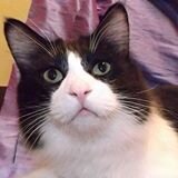 Handsome candidate for mayor of Winnipeg, because neglect doesn't work anywhere!