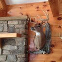 Mark Tobias - @MarkTobias33 - Twitter