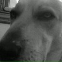 Mark Wade - @Mwade_ntheshade - Twitter