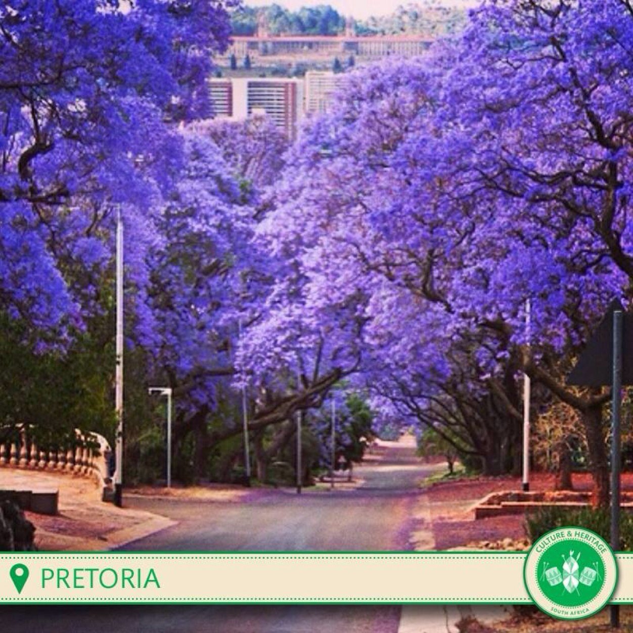 BettyBugden0251's profile picture. 