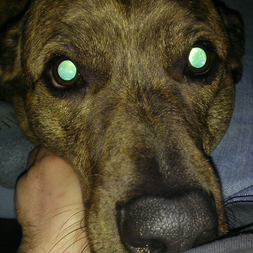 WalterGlogovic's profile picture. 