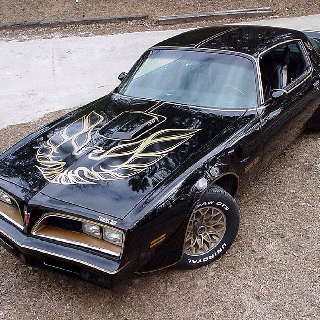 For the true fans who still appreciate old fashion muscle. #MuscleOverRicer #TeamPontiac #TransAm #AmericanMade