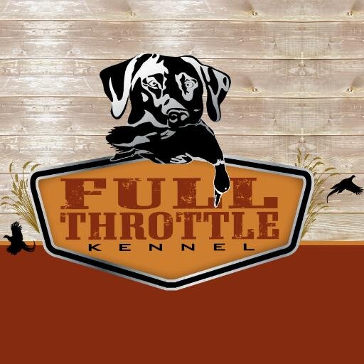 Full_Throttle_K's profile picture. GUN DOG TRAINING    |    HUNT TEST TRAINING    |    OBEDIENCE TRAINING    |    BOARDING