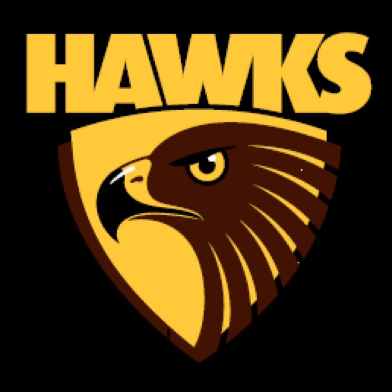 huntlyhawks's profile picture. 