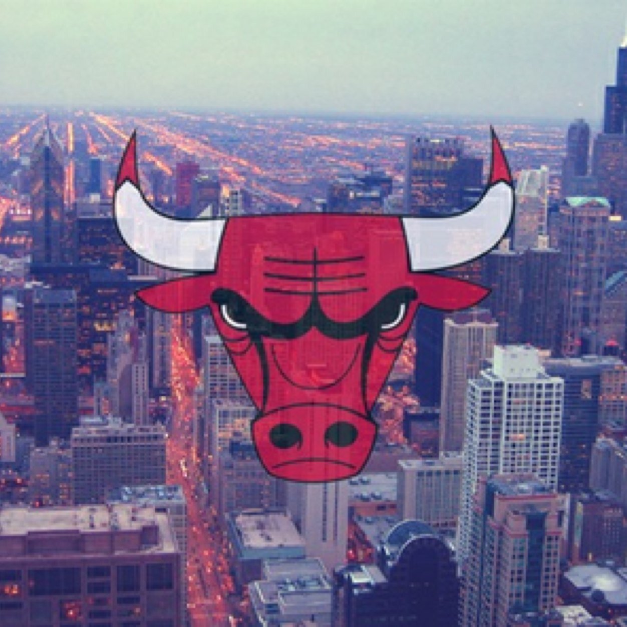 lets go bulls . ❤️