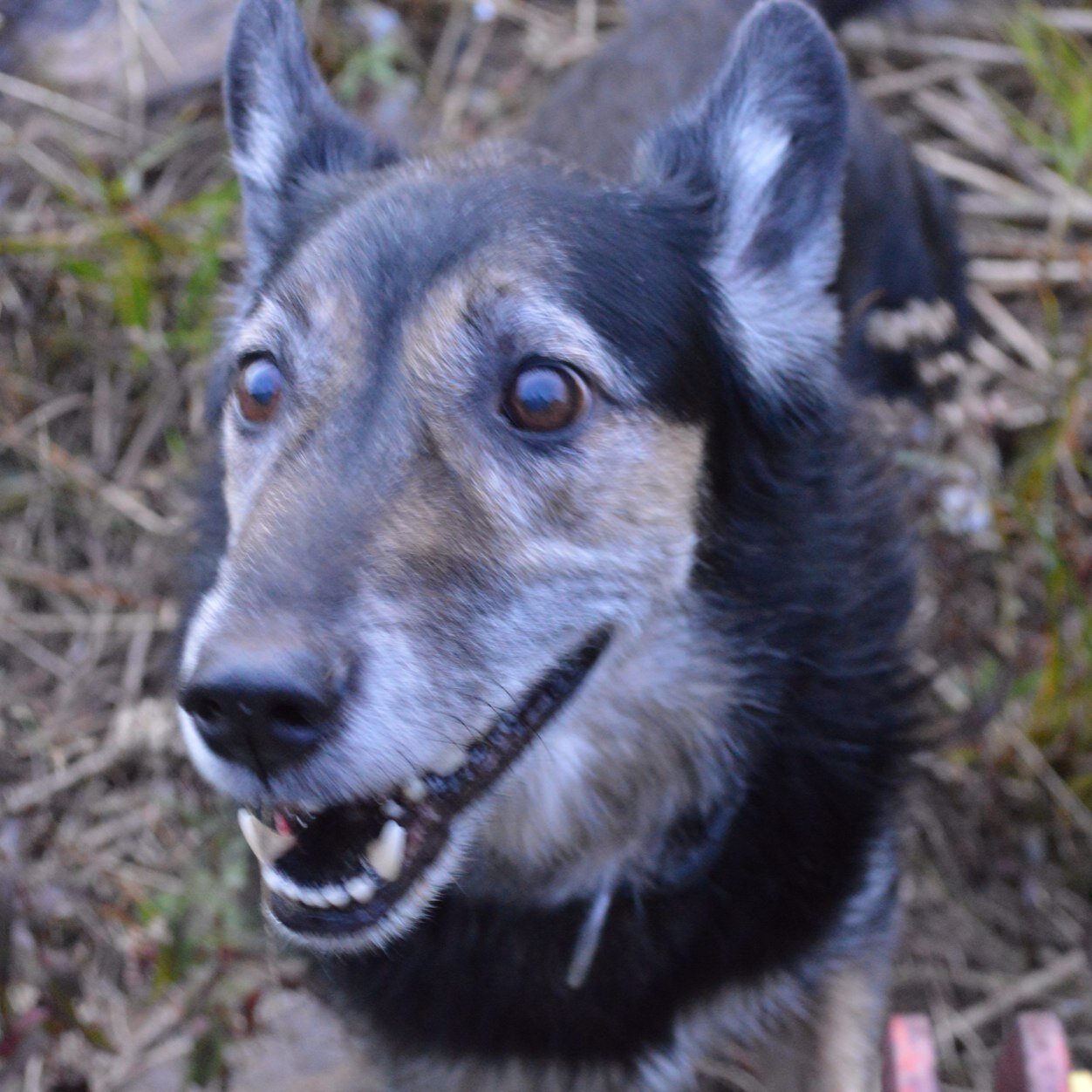 kilpatrick2479's profile picture. 