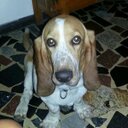 John Perez Idrogo - @johnenri30 - Twitter