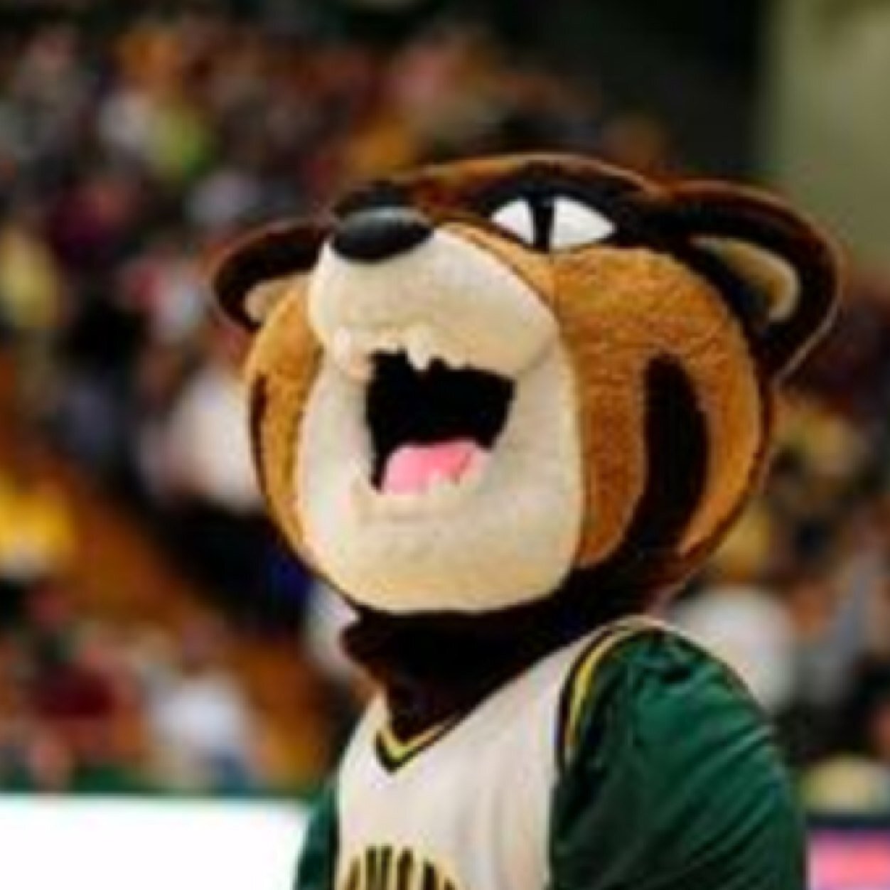 OverheardUVM's profile picture. Xoxo