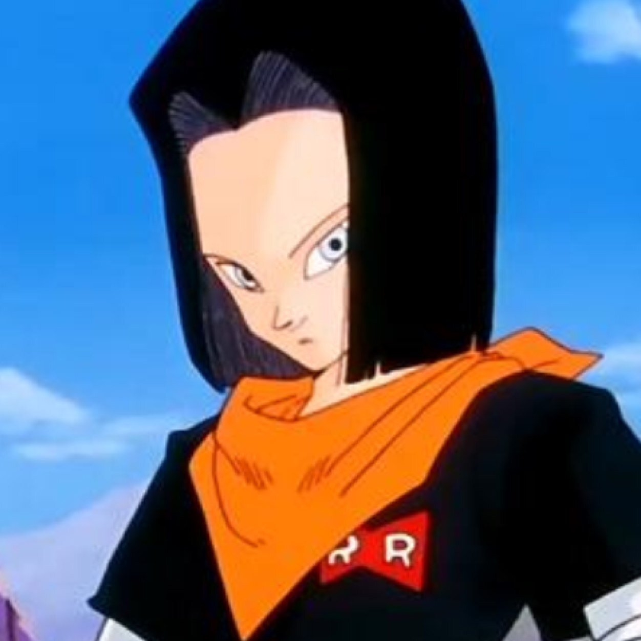 Hello there. I'm Android 17. I was created by Dr. Gero and then I killed him. I hope he rots in hell. My twin sister is @iAndroid18. Don't get in our way.