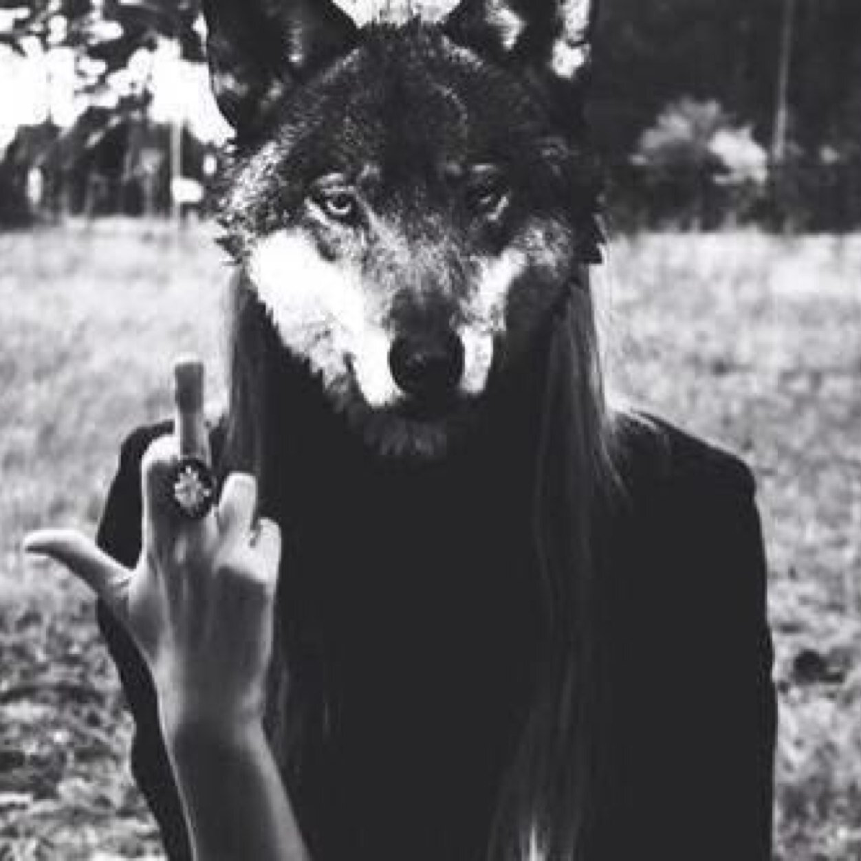 ♔ I am not afraid to die ♔