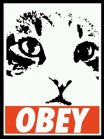 PartyGameCat's profile picture. Party GameCat: destroying everything @partygamecast holds dear since 2011.