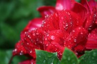 Dailyjoyfilled's profile picture. Daily Inspiration  by @pastordaniella