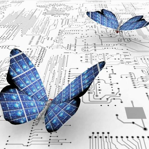 ElaineWright25's profile picture. 