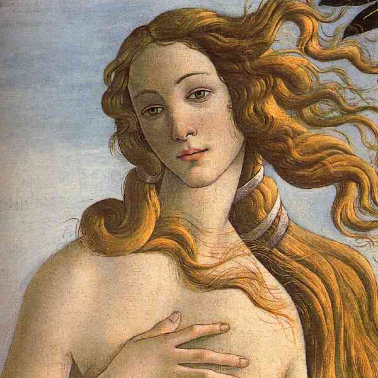 memoiroiro's profile picture. キレイパス→sgz86d