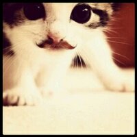 Waron Family (@waronfams) 's Twitter Profile