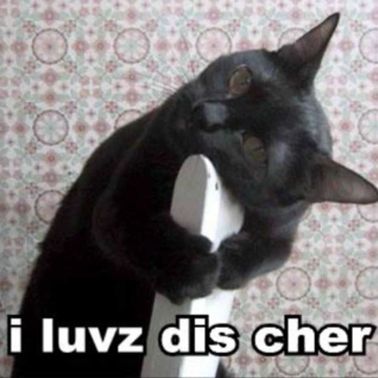 I luvz dis cher