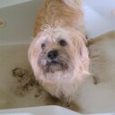 Nancy - @Sidney_Wicks - Twitter