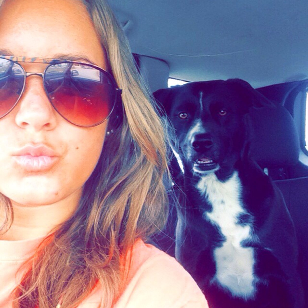 celundquist's profile picture. word g'mon