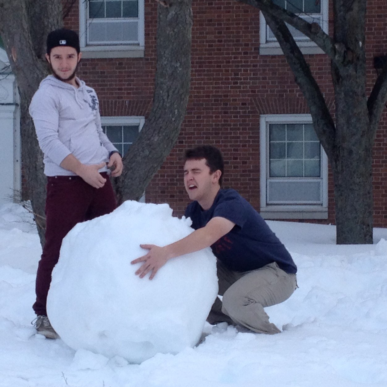 hillierdylan's profile picture. Ye.