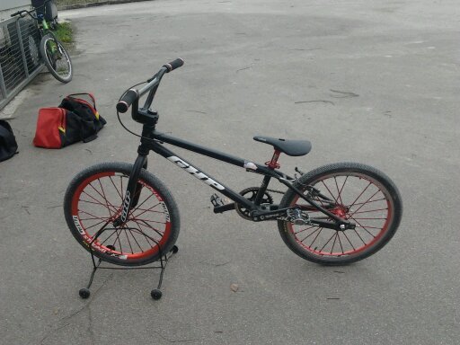 AngermeyerL's profile picture. 