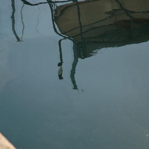 boudha789's profile picture. detox