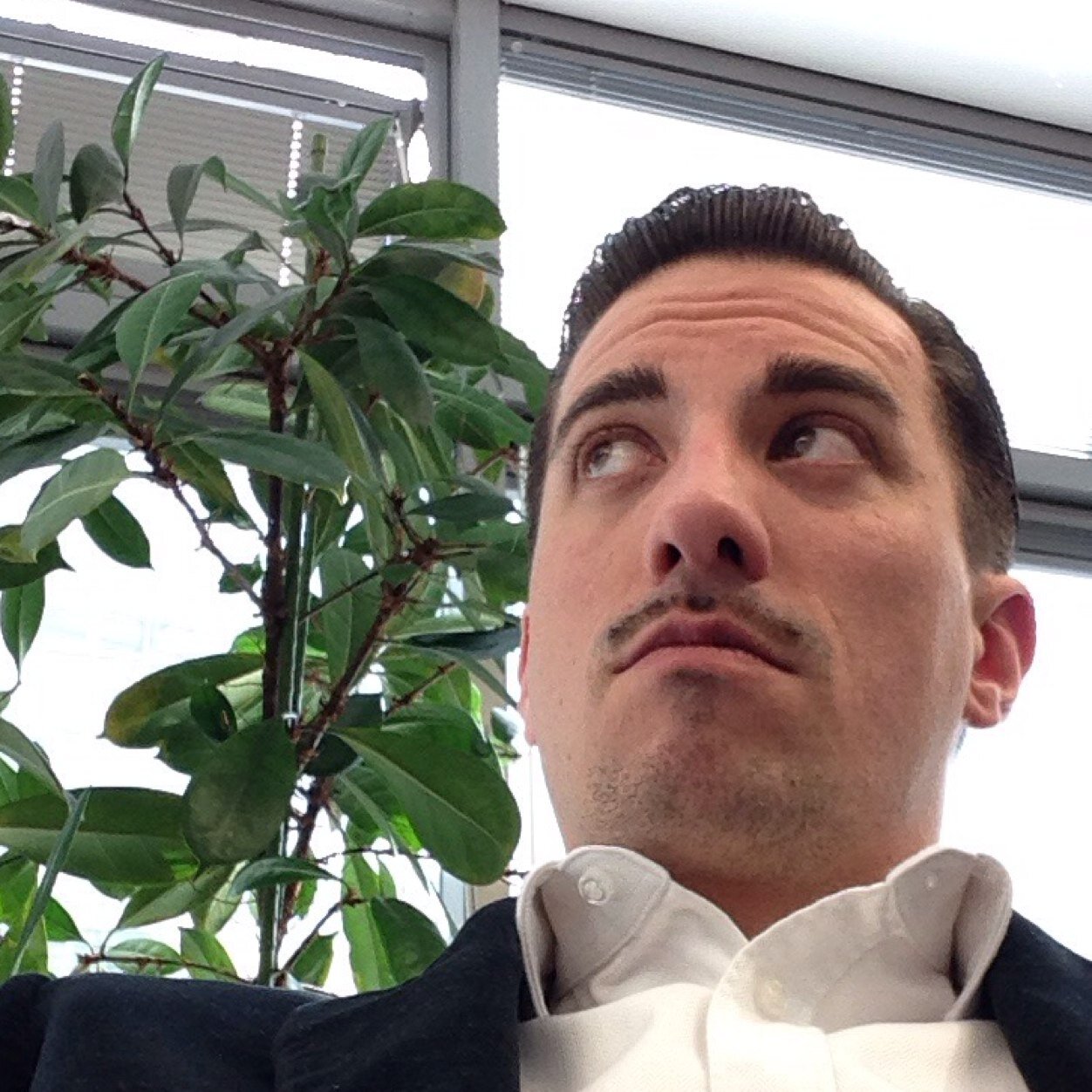 traveller, talker, lobbyist
in love with cleaner fuels