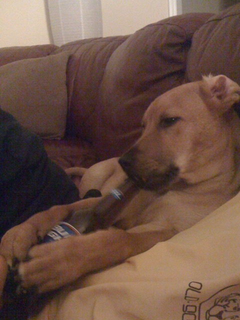 Felton_Boyle's profile picture. 