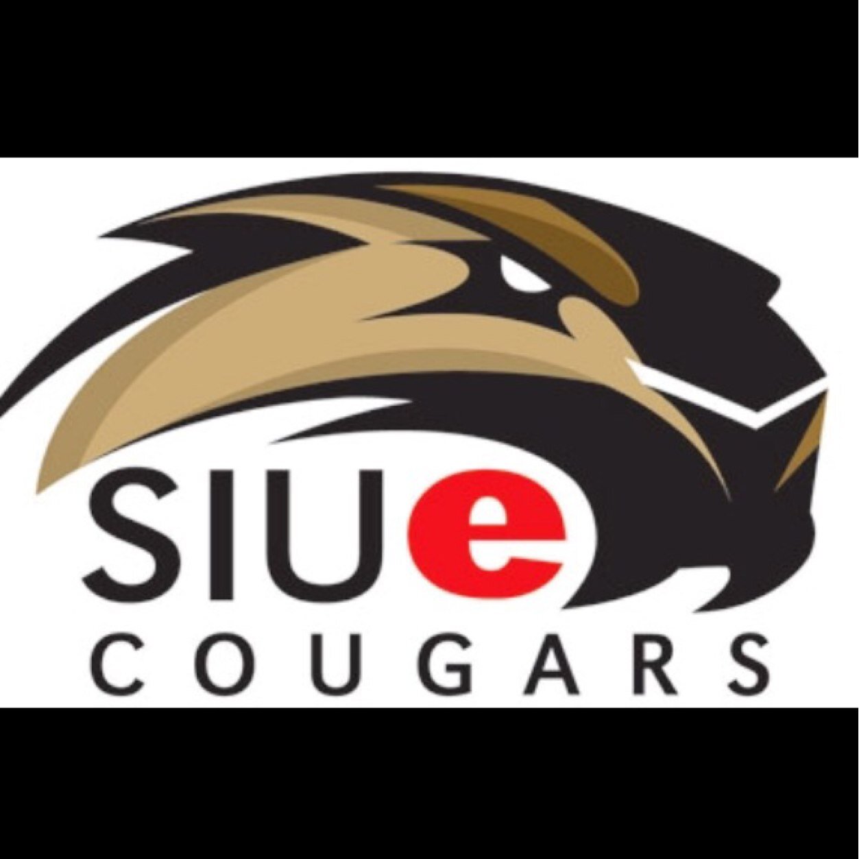 The problems of SIUE; mainly geese and partying