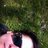 cacu_h's avatar