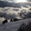 catherine shields - @catherineshie85 - Twitter