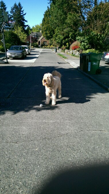 thomasscarey's profile picture. water is wet