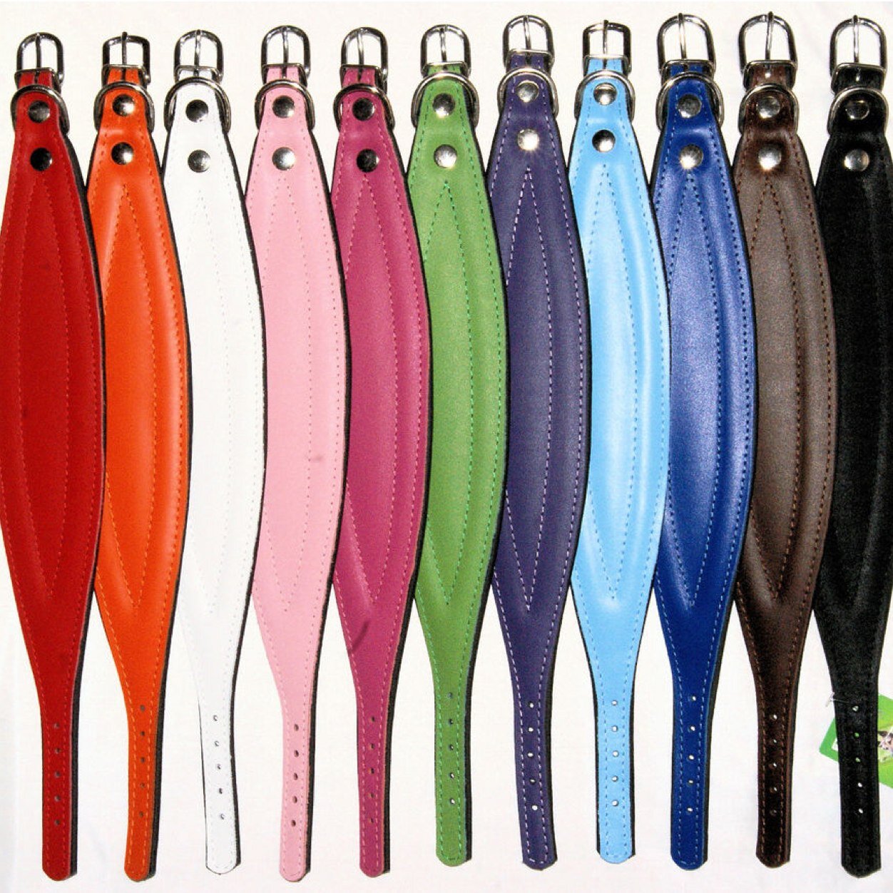 doghealthuk's profile picture. Love pets? We supply everything that you need for a healthy dog | cat | bird | rabbit | & more. Call 0800 0744302 today for a FREE sample of Healthy Dog food