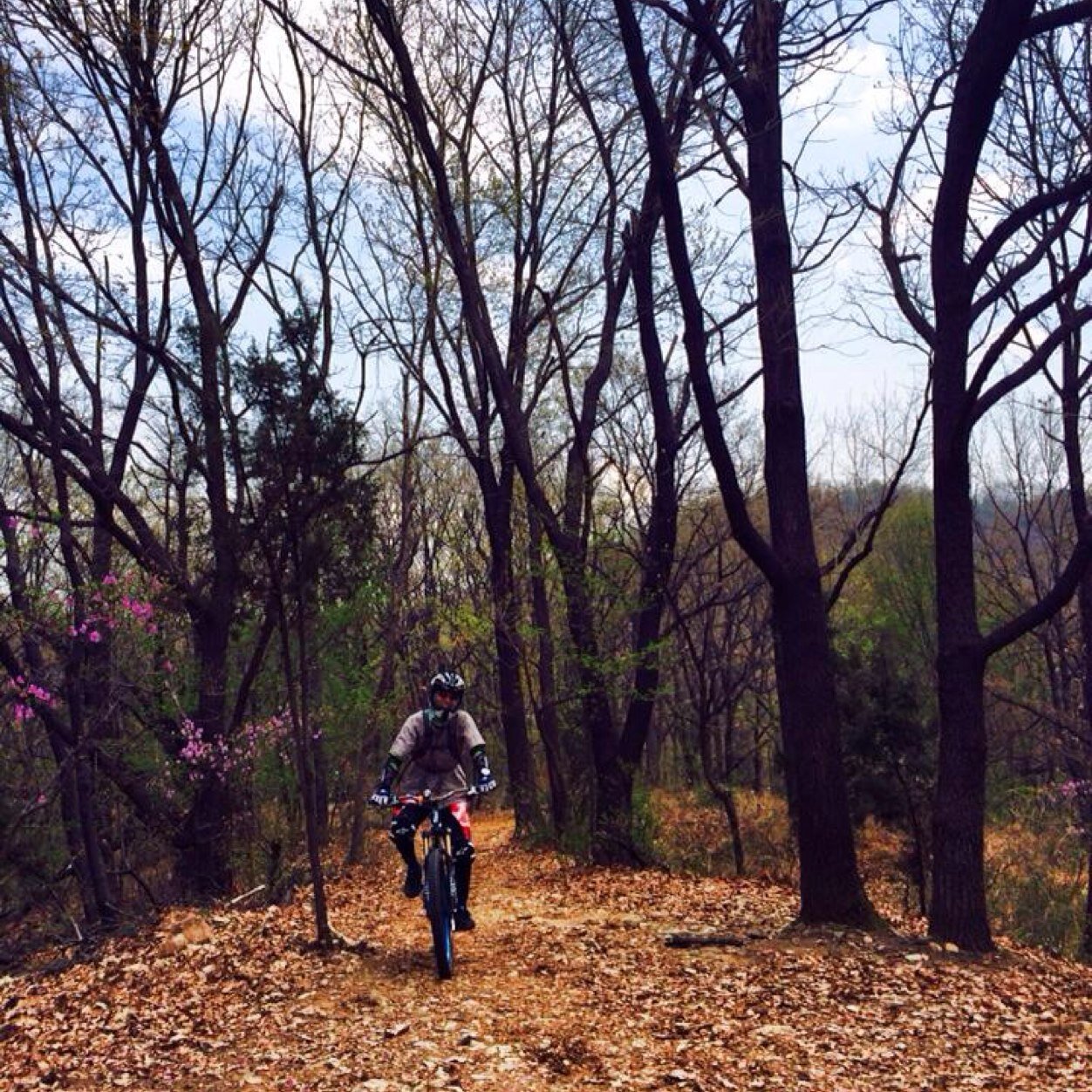 hahaodo's profile picture. mobile biz; yacht; my family...