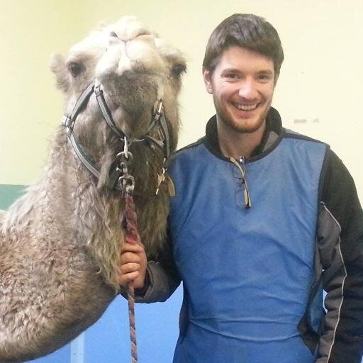 31 year old Veterinary Surgeon. Petrolhead. Pun connoisseur. Cook. Hashtag enthusiast. Old man.