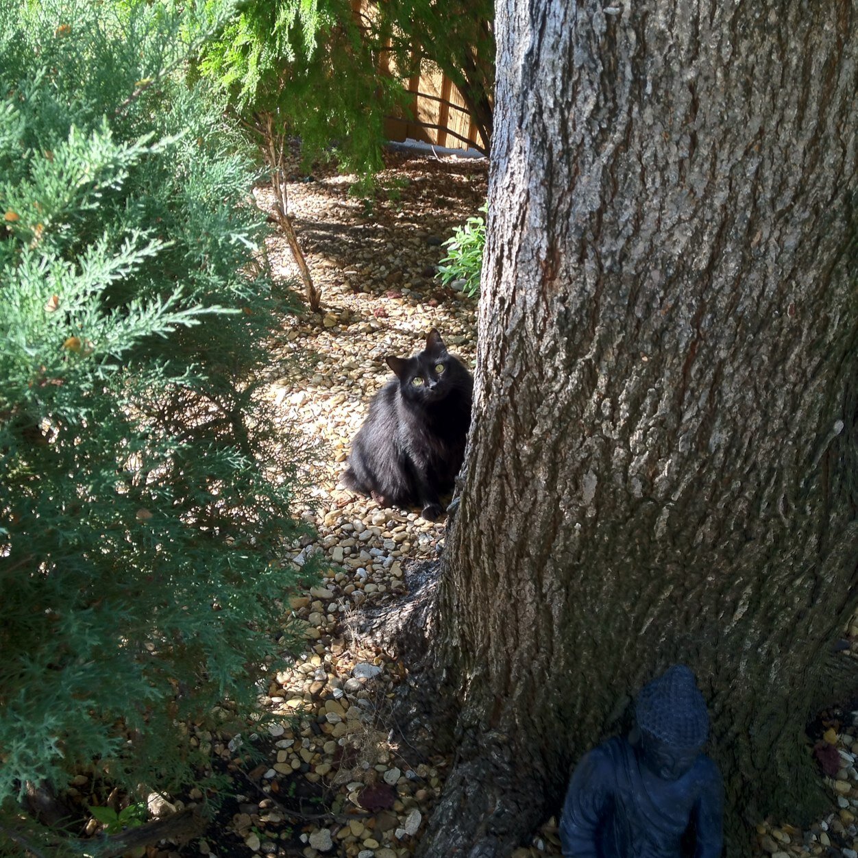 NirvanaBound7's profile picture. 