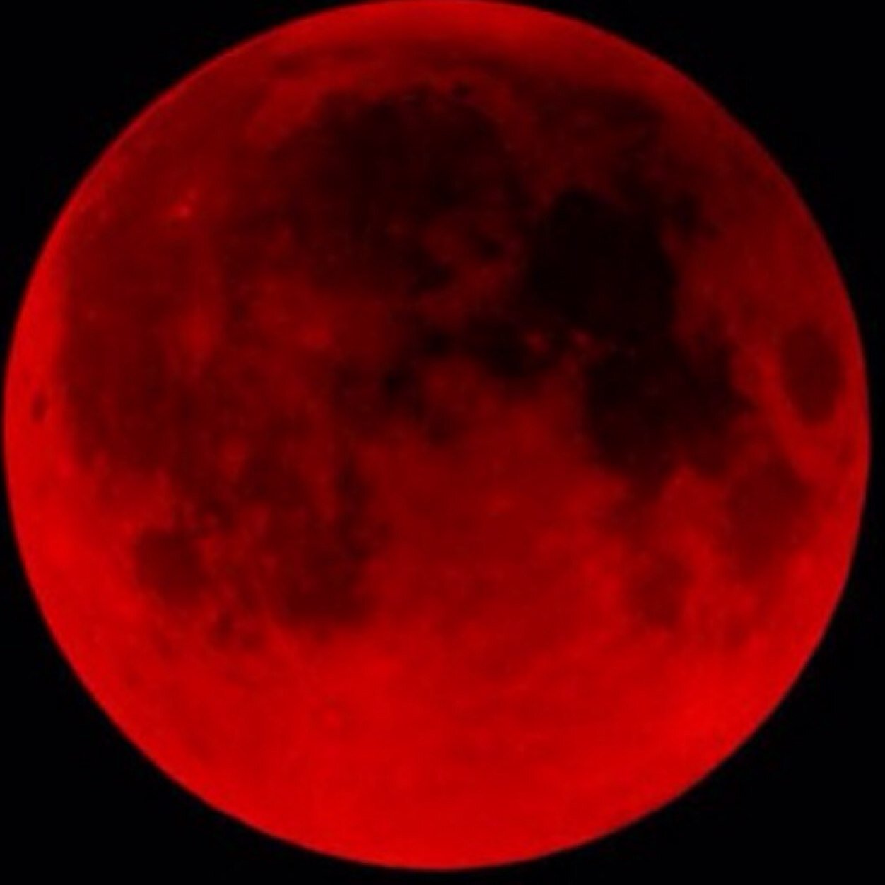 ImBloodyMoon's profile picture. 