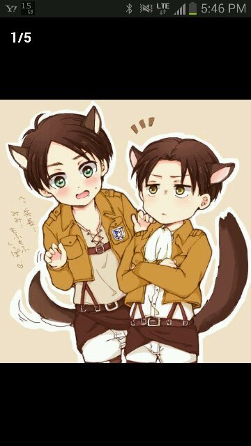 10miu11's profile picture. 